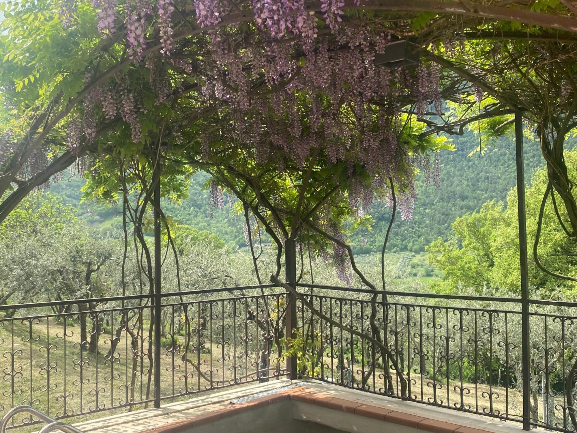 Lugnola B&B Rox E Claudia المظهر الخارجي الصورة